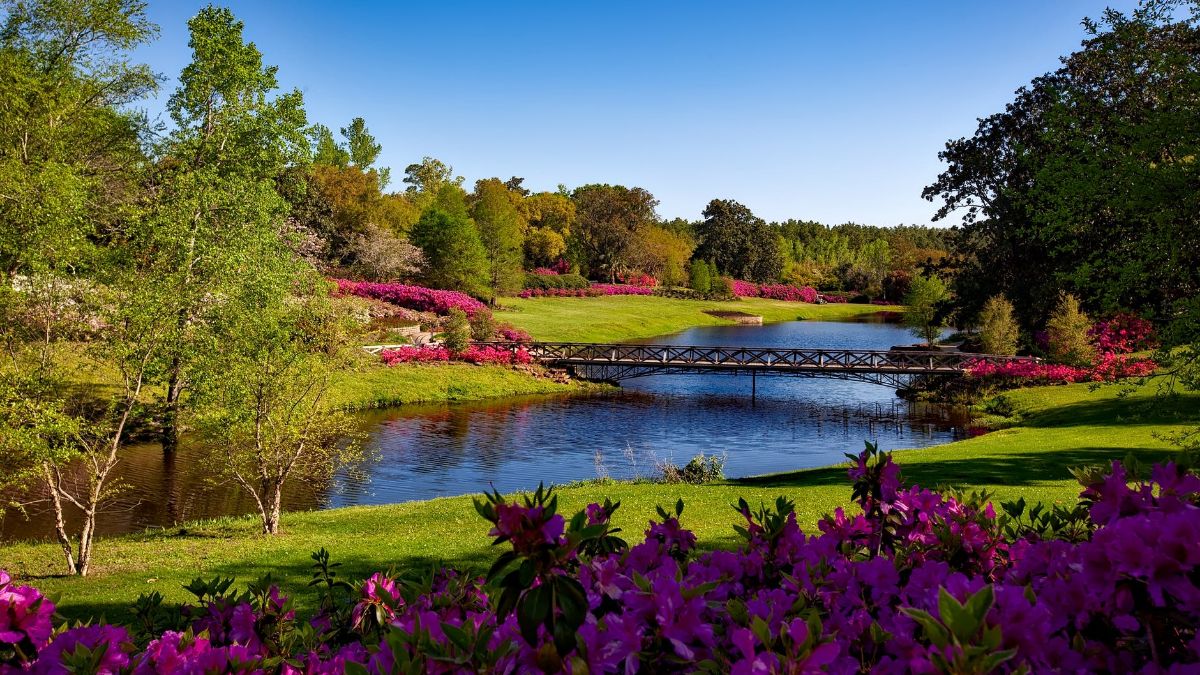 Nature for Health Why Doctors Are Calling Nature a Prescription for Health