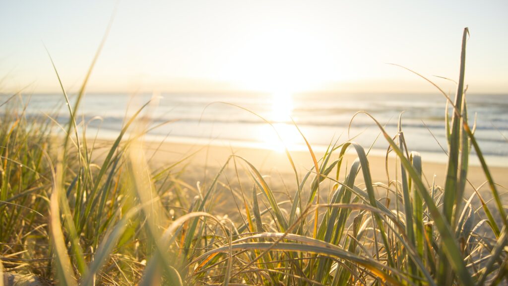 Summer Health Tips 2021 Healthy Summer