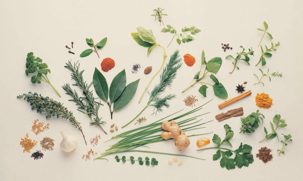 Healthy Herbs and Spices